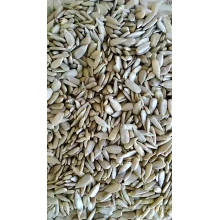 hot jambo inner mongolia kernel seeds prices